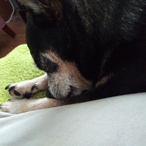 Meet your Posher, Melanie